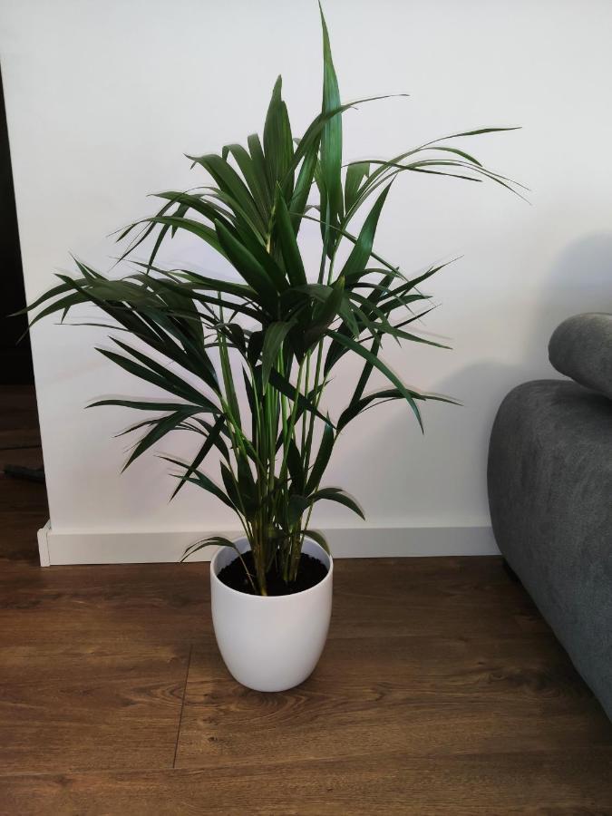 Apartament Milionova Apartment วูดช์ ภายนอก รูปภาพ